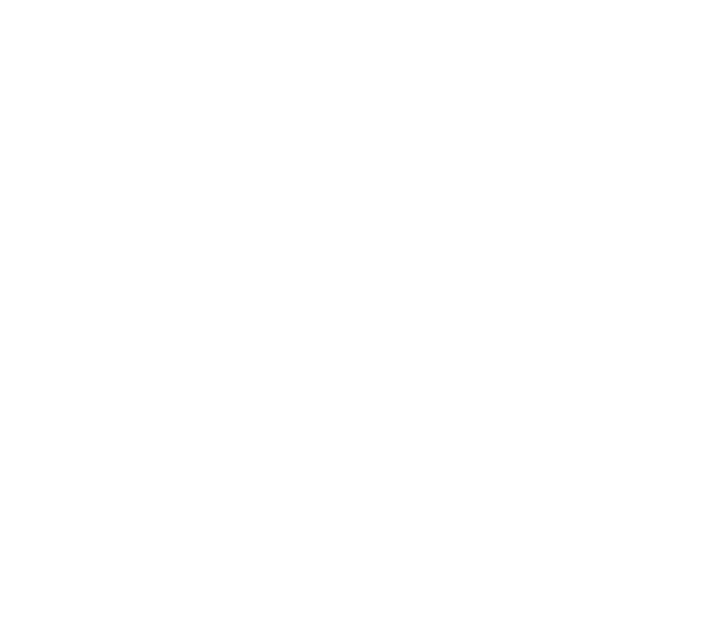 silly goose logo mono white silly goose logo mono white